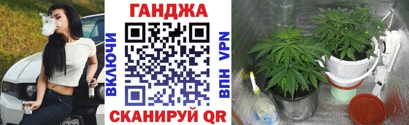 Шишки марихуана Bruce Banner  Купить  Воскресенск 